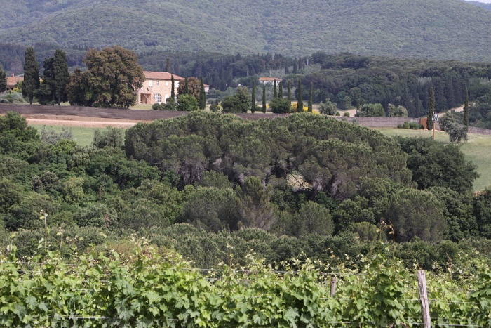 Toscane 09 - 073 - Paysages